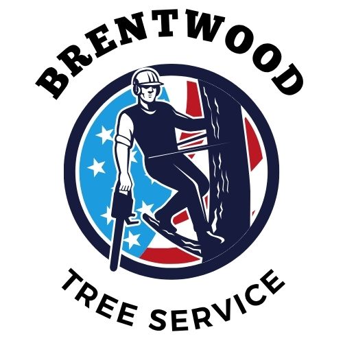 Timbrax Brentwood Tree Service logo