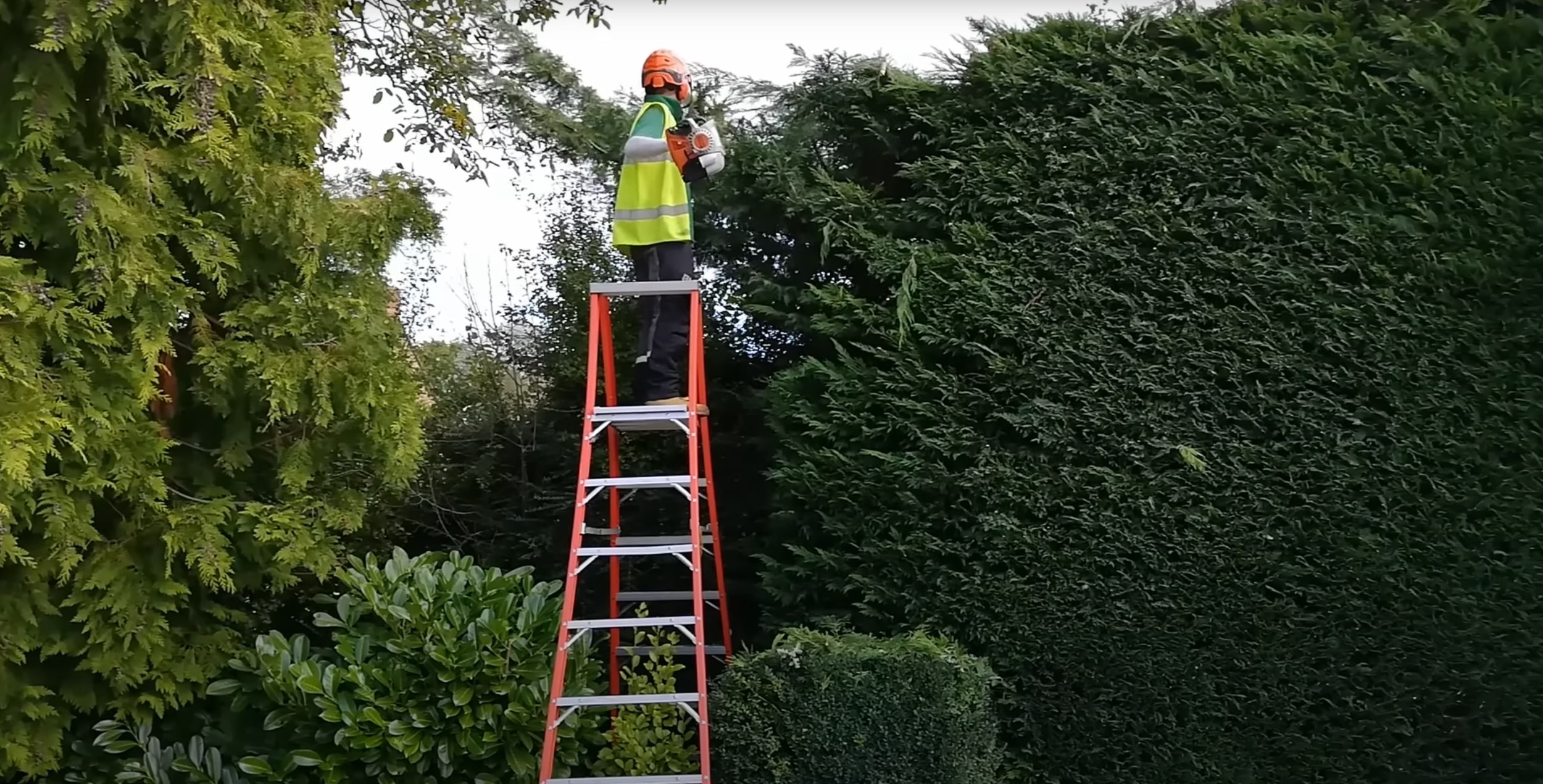 Shrub & Hedge Trimming service in Brentwood, CA